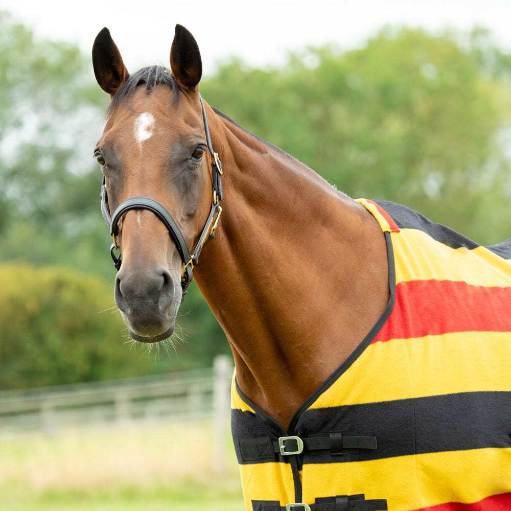 StormX Empra Newmarket Fleece Rug image 9